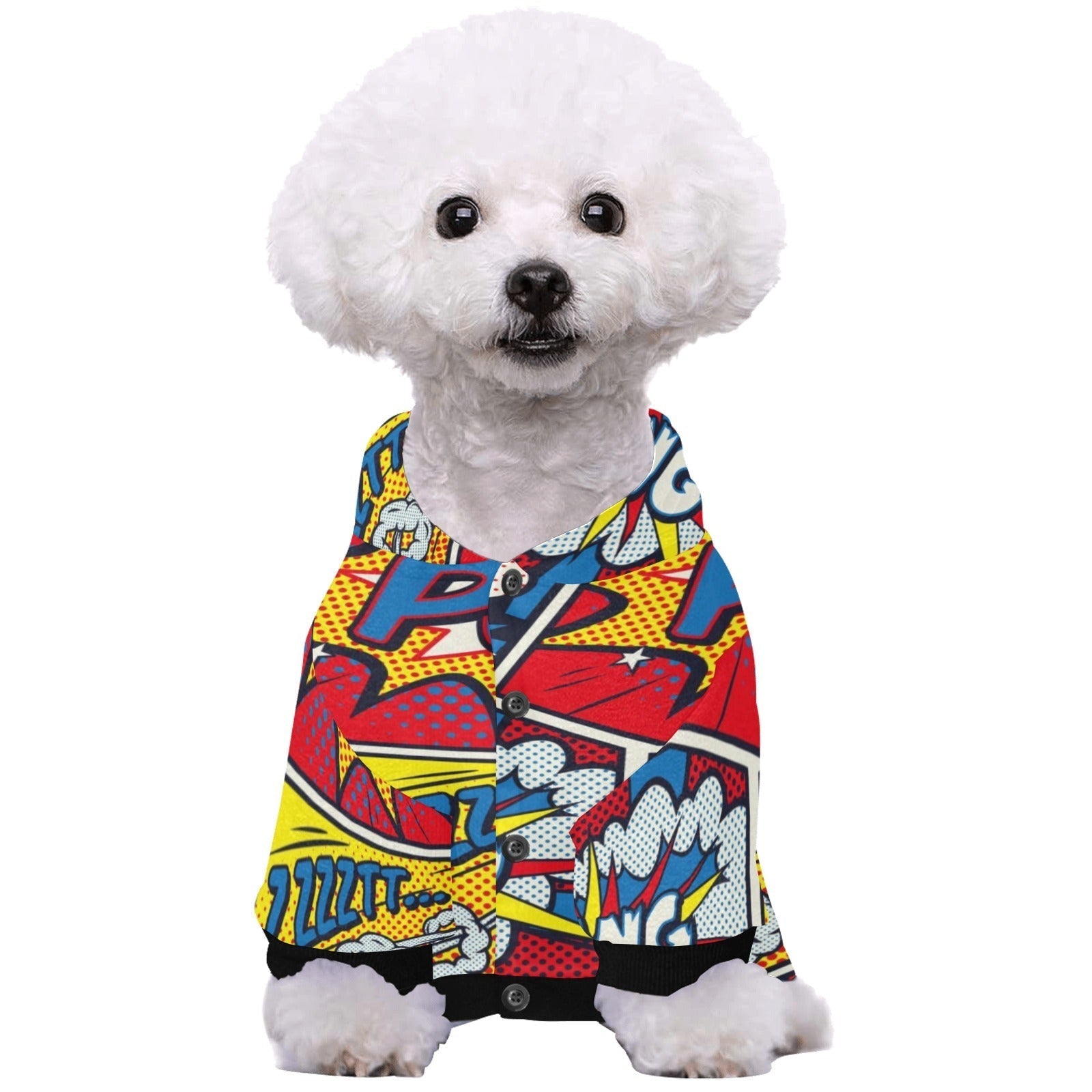 Retro Pop Art Pet & Owner | Matching Hoodie Set